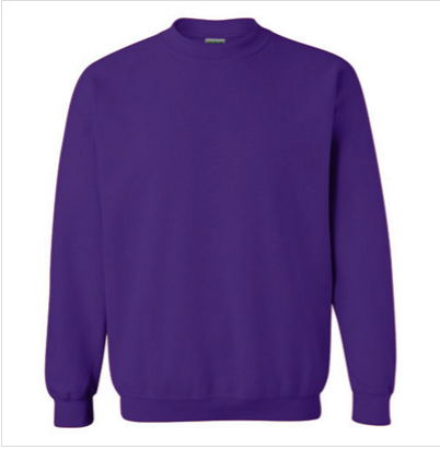 冬季时尚新款男士加厚卫衣 紫色